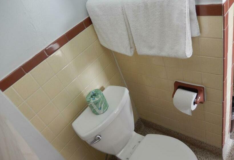 חדר סטנדרט עם מיטת קינג, Townsman Motel