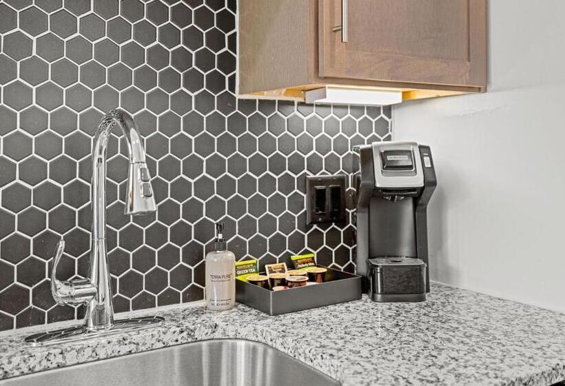 آپارتمان سوپریور 2 خوابه, Placemakr Downtown Austin