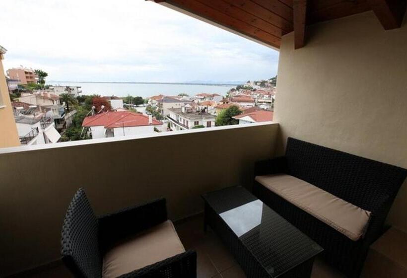 غرفة قياسية, Delfini