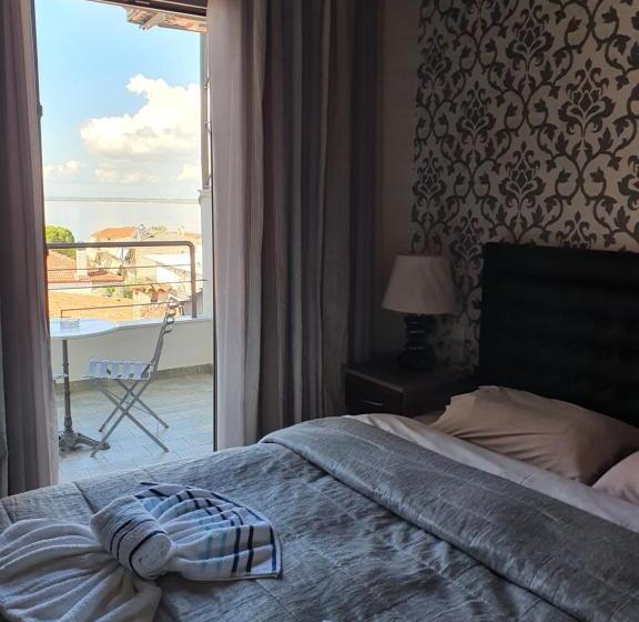 غرفة قياسية, Delfini