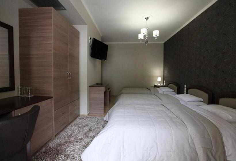 غرفة قياسية ثلاثية, Delfini