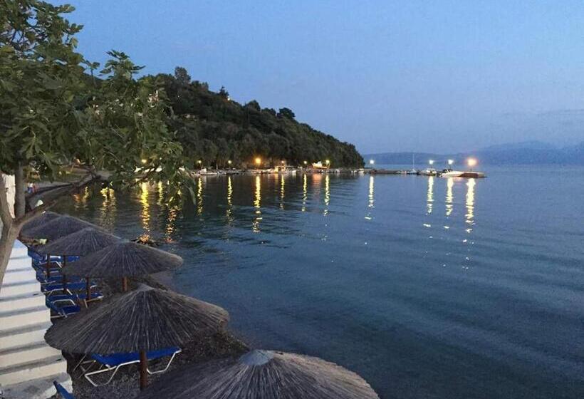 غرفة قياسية ثلاثية, Delfini