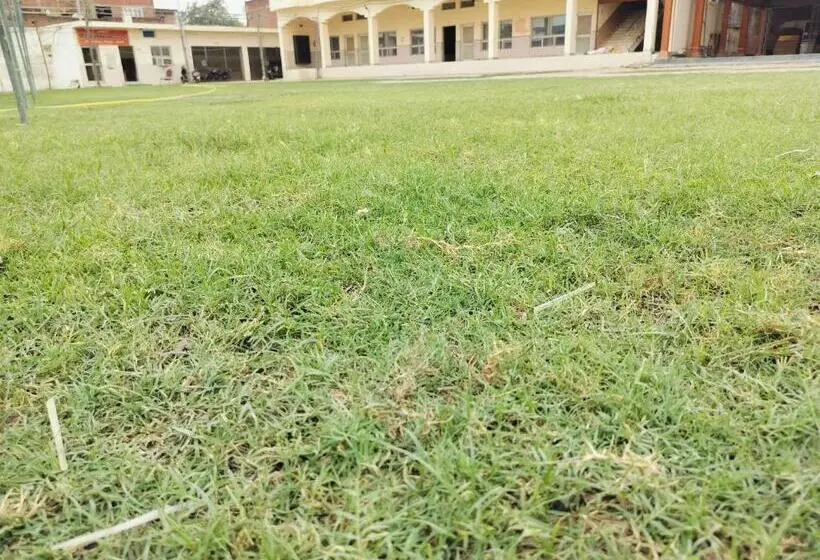Standard-huone, Kesarwani Seva Sadan