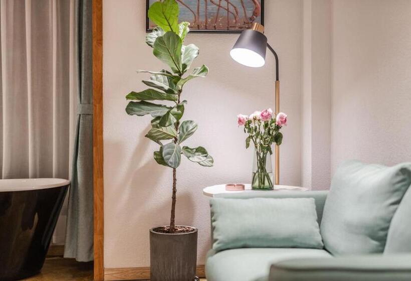 디럭스 스위트, Shang Shan Ruo Shui 大理上山若水客栈