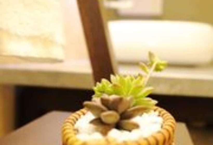 סוויטה דלוקס, Tanglong International