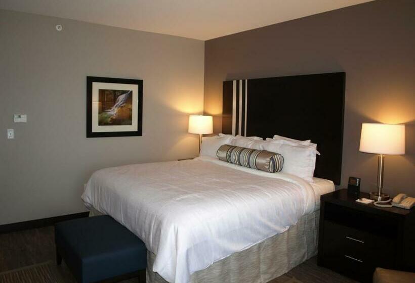 غرفة قياسية سرير كينج, At Batavia Downs