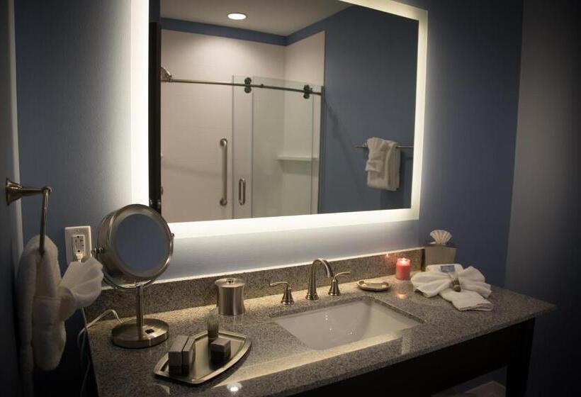 غرفة قياسية سرير كينج لذوى الإحتياجات الخاصة, At Batavia Downs