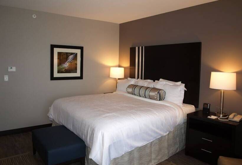 غرفة قياسية, At Batavia Downs