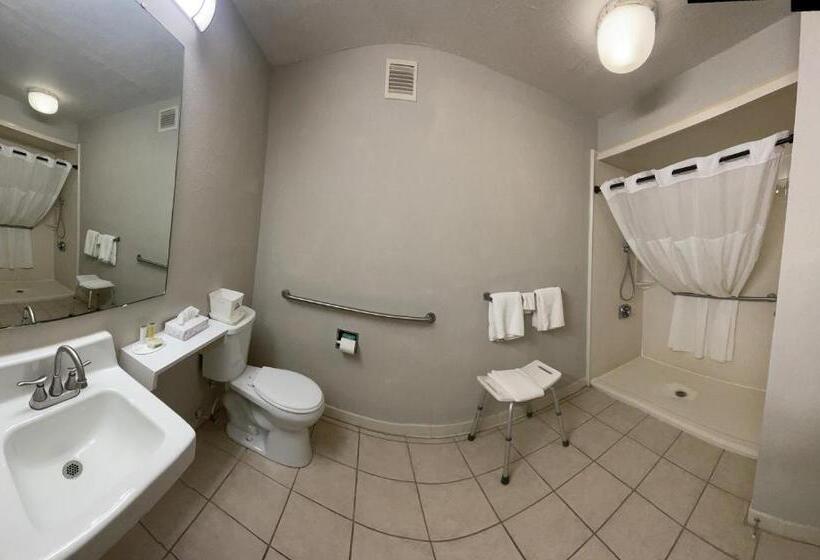 غرفة قياسية سرير كينج, Days Inn By Wyndham Lake Park/valdosta