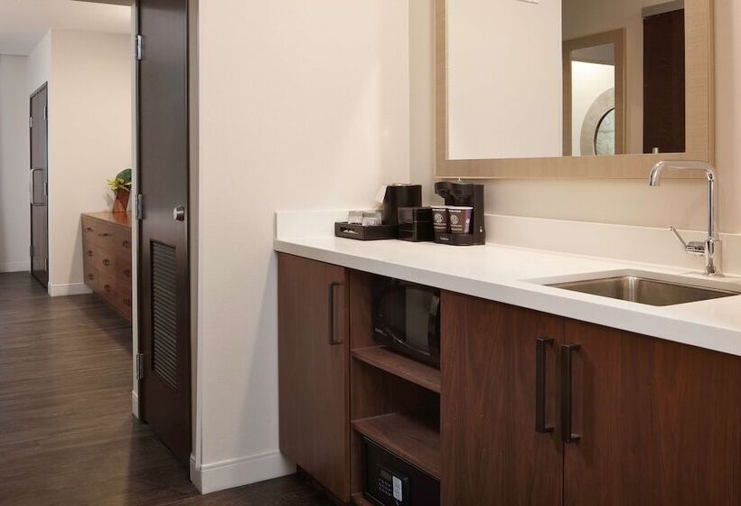 프리미엄 스위트, Embassy Suites By Hilton Amarillo Downtown