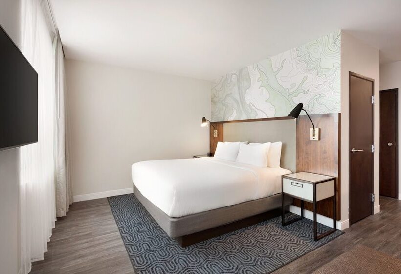 프리미엄 스위트, Embassy Suites By Hilton Amarillo Downtown
