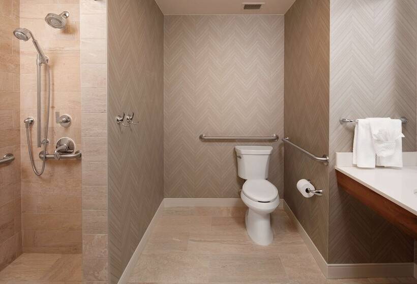 프리미엄 스위트, Embassy Suites By Hilton Amarillo Downtown