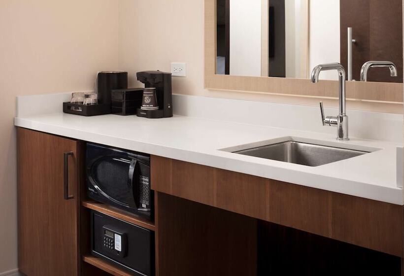 프리미엄 스위트, Embassy Suites By Hilton Amarillo Downtown