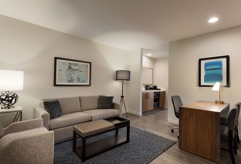 프리미엄 스위트, Embassy Suites By Hilton Amarillo Downtown