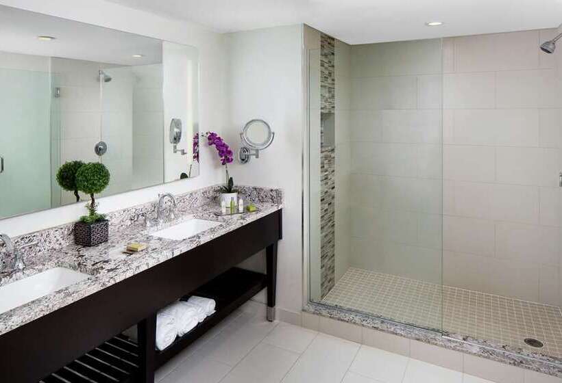 프리미엄 스위트, Embassy Suites By Hilton Amarillo Downtown