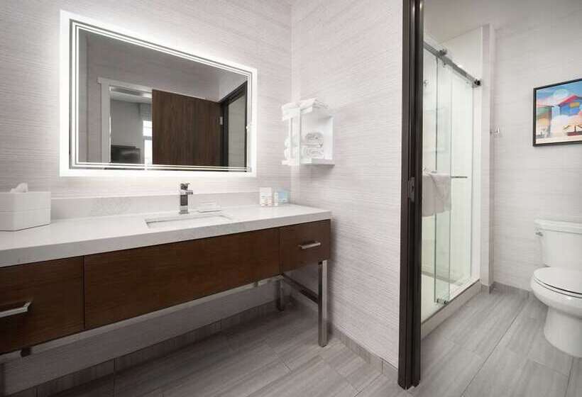 프레지덴셜 스위트, Embassy Suites By Hilton Amarillo Downtown