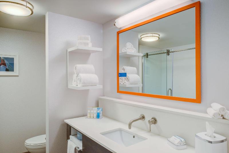 带大床的标准间, Hampton Inn & Suites Wixom