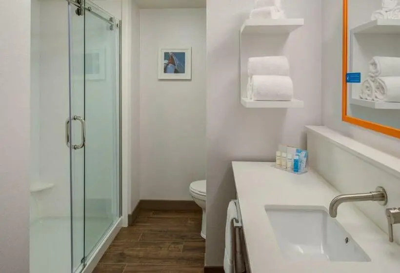 キングサイズベッドのスタンダードルーム, Hampton Inn & Suites Wixom