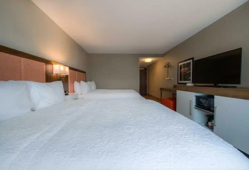 スタンダードルーム, Hampton Inn & Suites Wixom