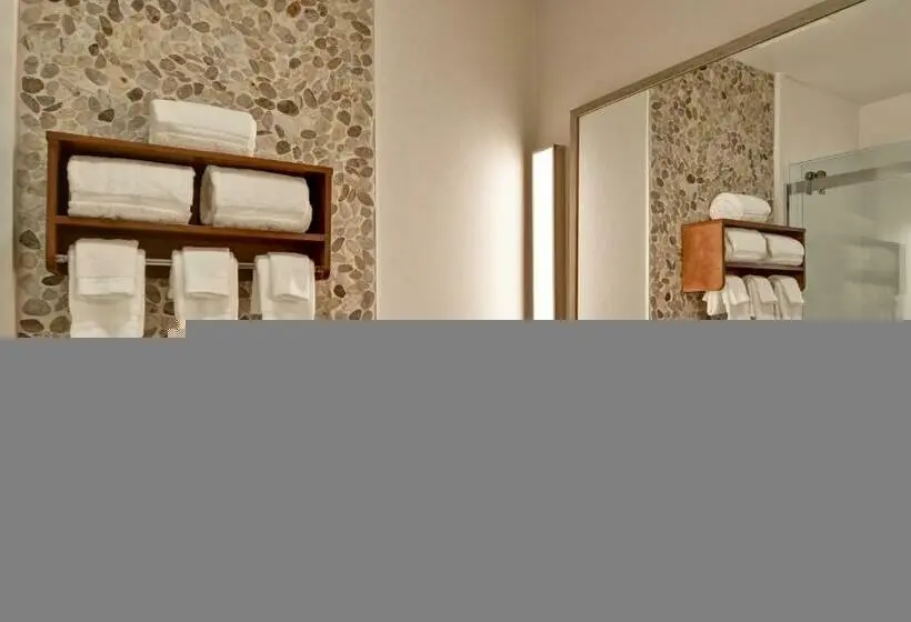 身障者適用キングサイズベッドルーム, Hilton Garden Inn Phoenix/tempe Asu Area