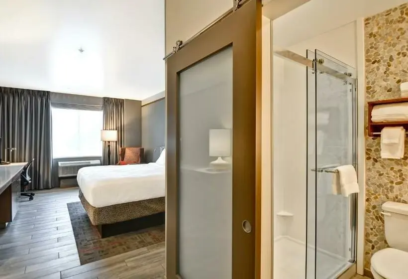 身障者適用キングサイズベッドルーム, Hilton Garden Inn Phoenix/tempe Asu Area
