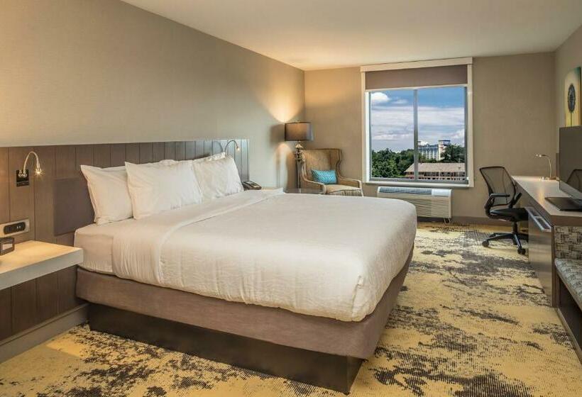 장애인을 위한 킹사이즈 침대 스탠다드 룸, Hilton Garden Inn Pittsburgh Airport