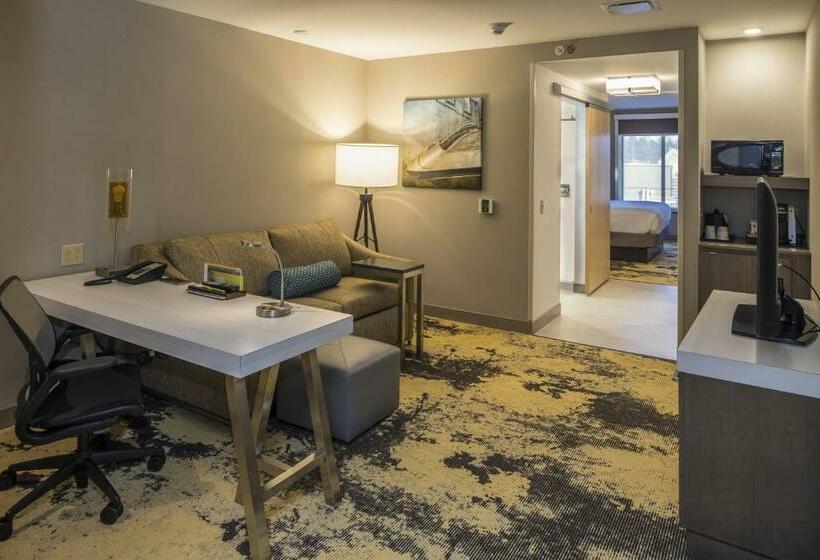 주니어 스위트, Hilton Garden Inn Pittsburgh Airport