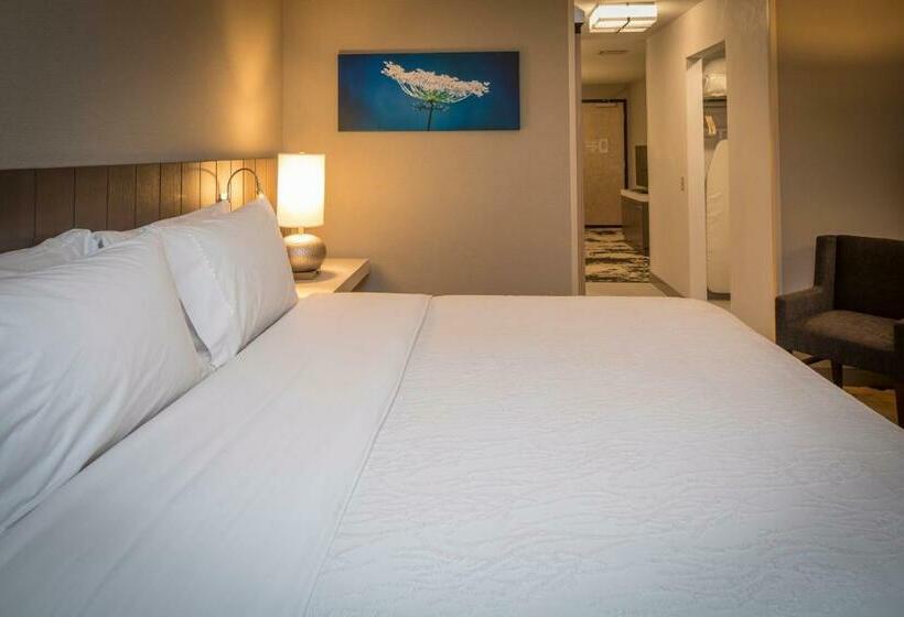 Полулюкс, Hilton Garden Inn Pittsburgh Airport