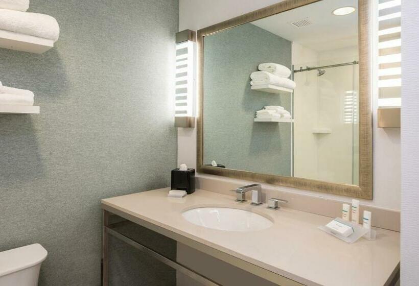 Стандартный Номер Кровать Кинг, Hilton Garden Inn Pittsburgh Airport