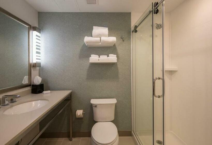 스탠다드 룸 킹사이즈 침대, Hilton Garden Inn Pittsburgh Airport