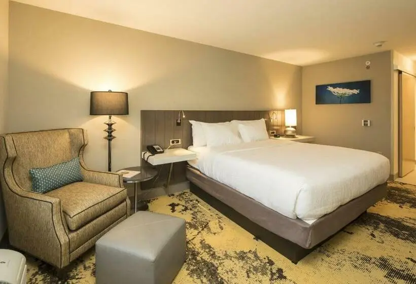 Juniorsviitti, Hilton Garden Inn Pittsburgh Airport