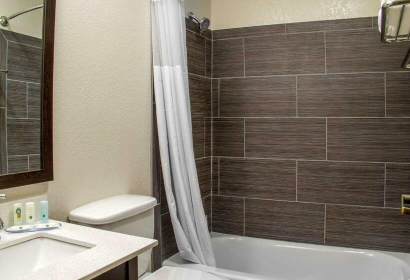 Номер Стандарт Адаптированный для Инвалидов, Quality Inn & Suites Maggie Valley   Cherokee Area