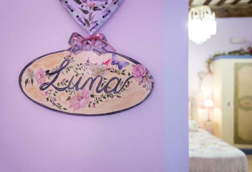 Camera Standard, Bed And Breakfast Sognando Te