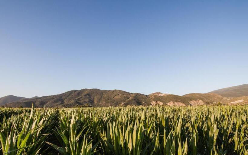 ガーデンビューの1ベッドルームビラ, Cascina Canova B&b