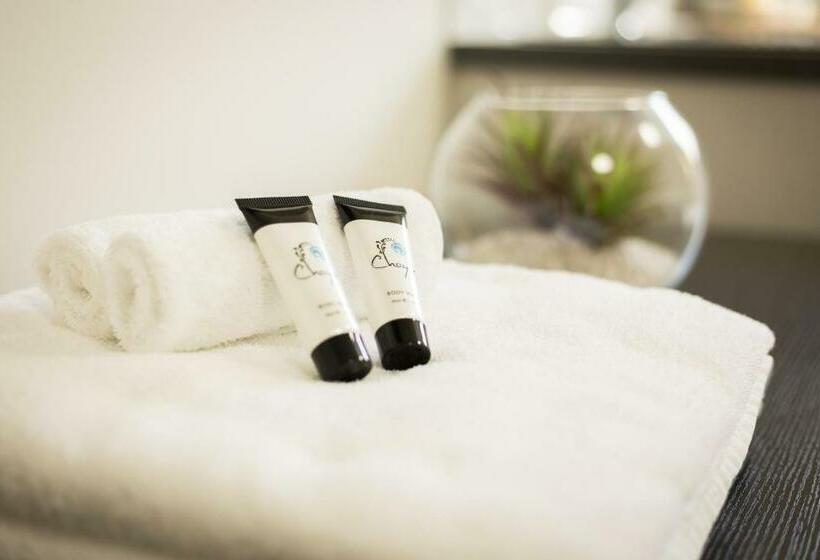 اتاق لوکس, Aspire Newcastle