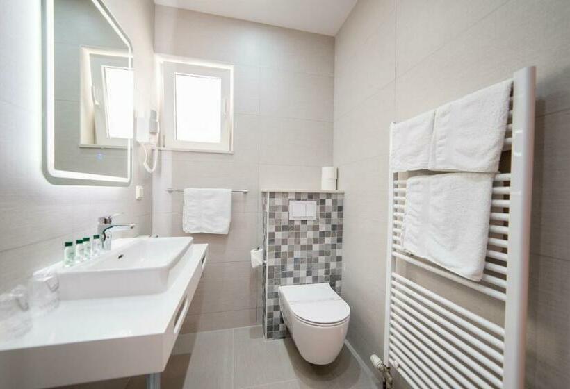 Номер Стандарт, Rooms Raič