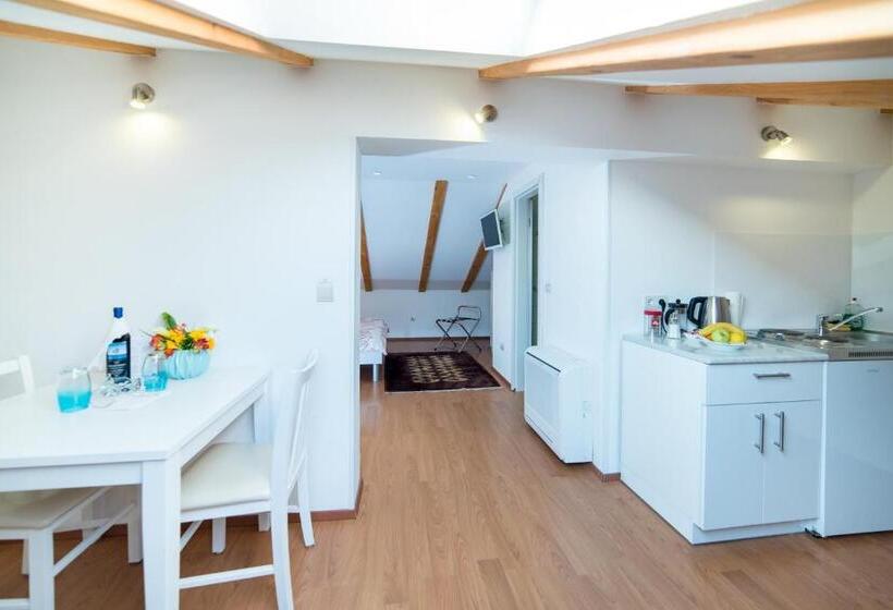 Студия Стандарт, Rooms Raič