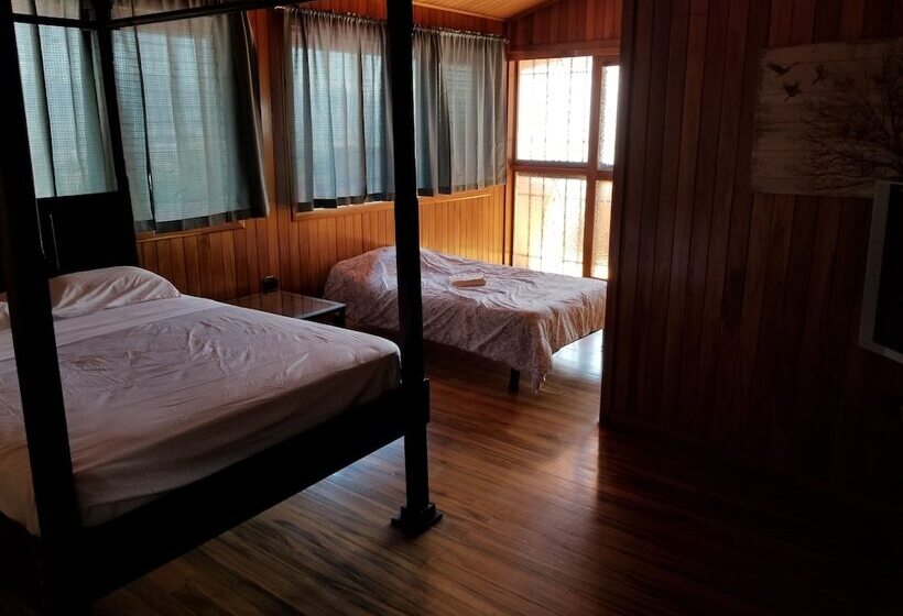 デラックススタジオ, Monte Campana Escazu