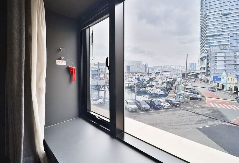 Номер Стандарт, Bayhound