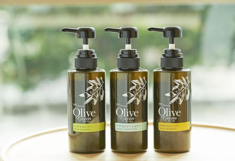 חדר דלוקס, Sotetsu Fresa Inn Kyotoshijokarasuma