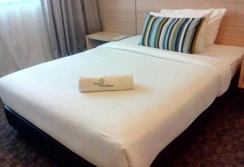 غرفة قياسية فردية, The Inn