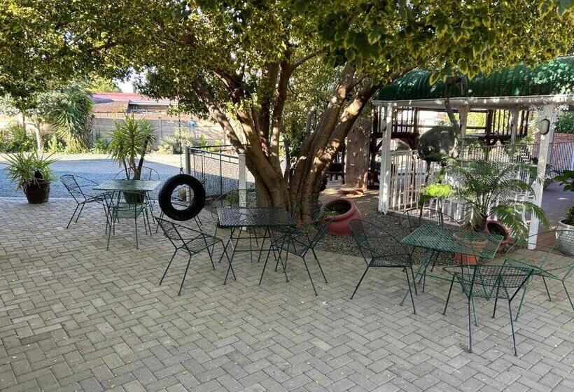 חדר סופריור, The Solomon Guest House