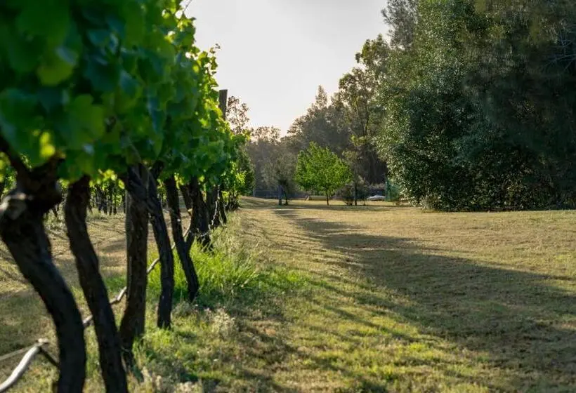 キングサイズベッドのデラックススイート, Thistle Hill Guesthouse   Walk To Many Wineries And Restaurants