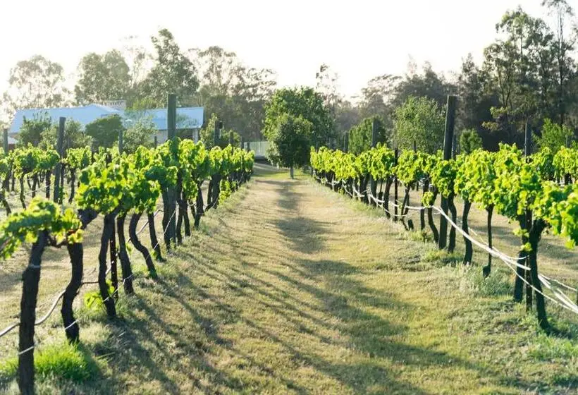 キングサイズベッドのデラックススイート, Thistle Hill Guesthouse   Walk To Many Wineries And Restaurants