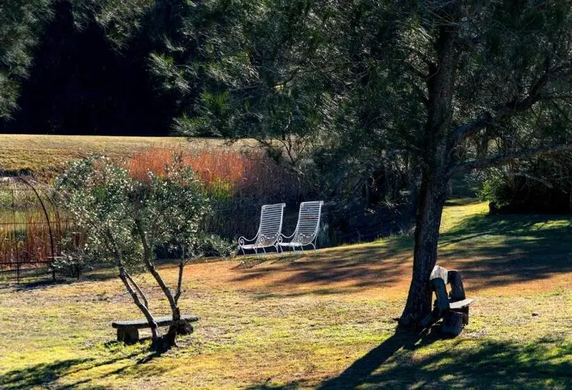 キングサイズベッドのデラックススイート, Thistle Hill Guesthouse   Walk To Many Wineries And Restaurants