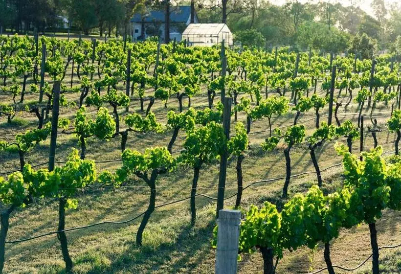 キングサイズベッドのデラックススイート, Thistle Hill Guesthouse   Walk To Many Wineries And Restaurants