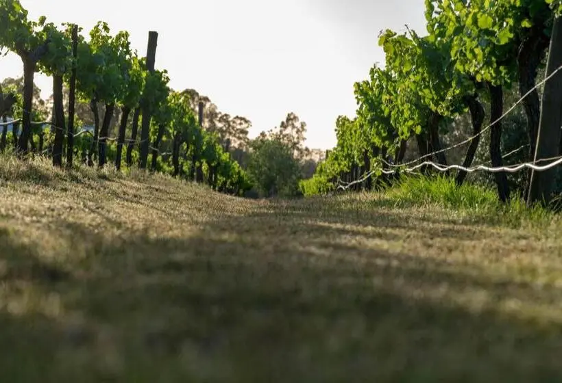 キングサイズベッドのデラックススイート, Thistle Hill Guesthouse   Walk To Many Wineries And Restaurants