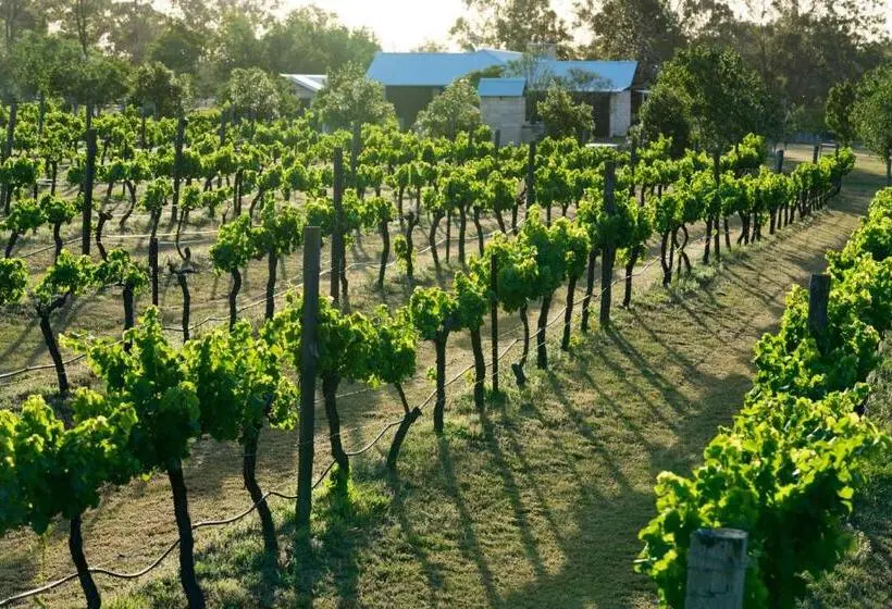 キングサイズベッドのデラックススイート, Thistle Hill Guesthouse   Walk To Many Wineries And Restaurants
