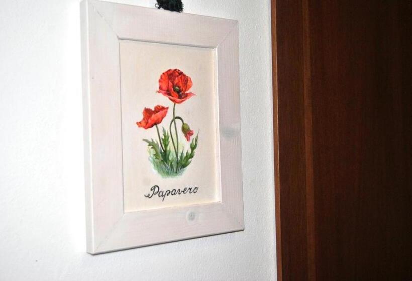 חדר סטנדרט יחיד, Antico Granaione