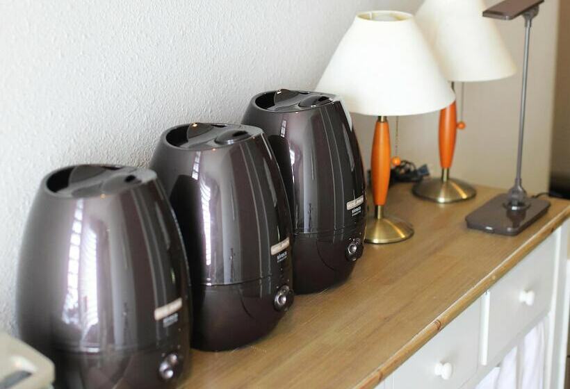 标准单人间, Areaone Kochi